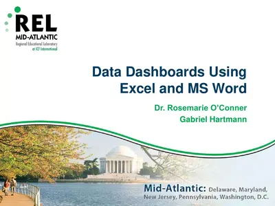 Cover of the Data Dashboards Using Excel and MS Word PDF