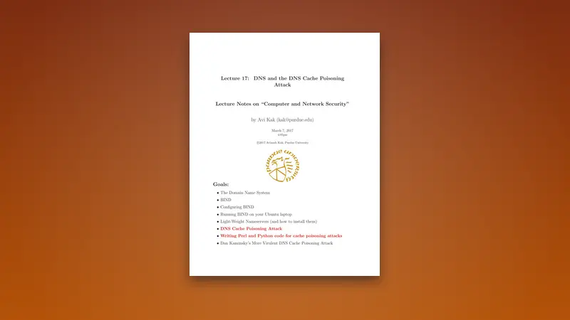 DNS and the DNS Cache Poisoning Attack — Free PDF — PDF cover