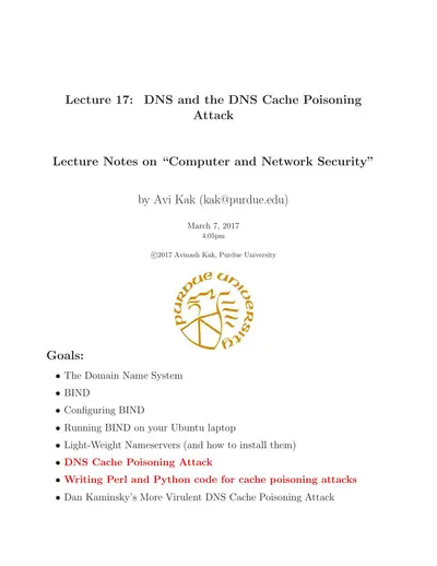 Cover of the DNS and the DNS Cache Poisoning Attack PDF