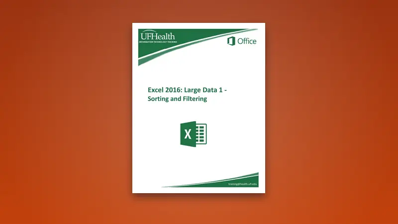 Excel 2016 Large Data Sorting and Filtering — Free PDF — PDF cover
