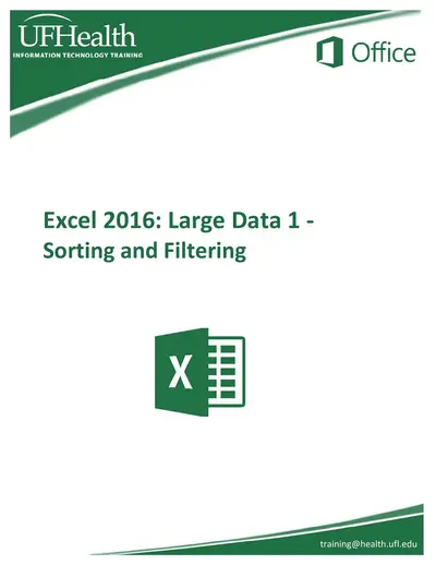 Cover of the Excel 2016 Large Data Sorting and Filtering PDF