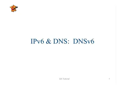 Cover of the IPv6 & DNS: DNSv6 PDF