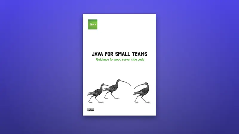 Java for Small Teams PDF — Testing & Development — PDF cover