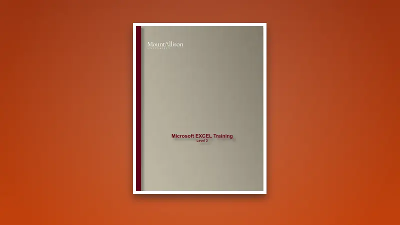 Microsoft EXCEL Training Level 2 — Free PDF — PDF cover