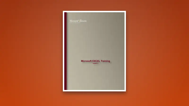 Microsoft EXCEL Training Level 3 — Free PDF — PDF cover