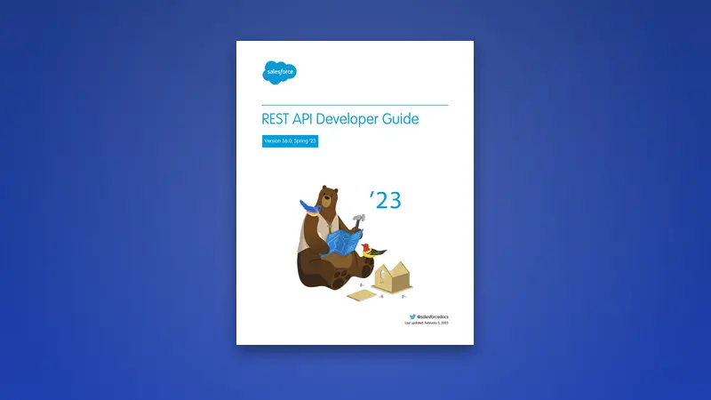 REST API Developer Guide – Best Practices & Reference — PDF cover