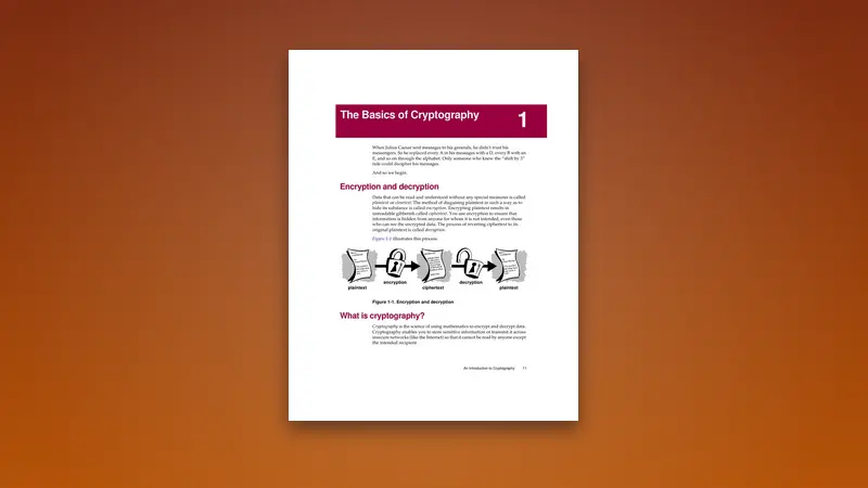 The Basics of Cryptography: Foundations and Practices — PDF cover