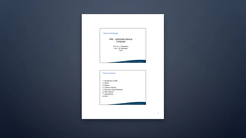 XML (eXtensible Markup Language) PDF — Schema Guide — PDF cover